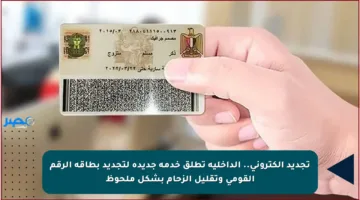 تجديد إلكتروني.. الداخلية تطلق خدمة جديدة لتجديد بطاقة الرقم القومي وتقليل الزحام بشكل ملحوظ